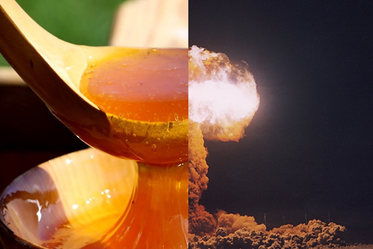 Мёд содержит радиоактивные осадки от ядерных испытаний времён Холодной войны и аварий на АЭС — как человечество уничтожает себя