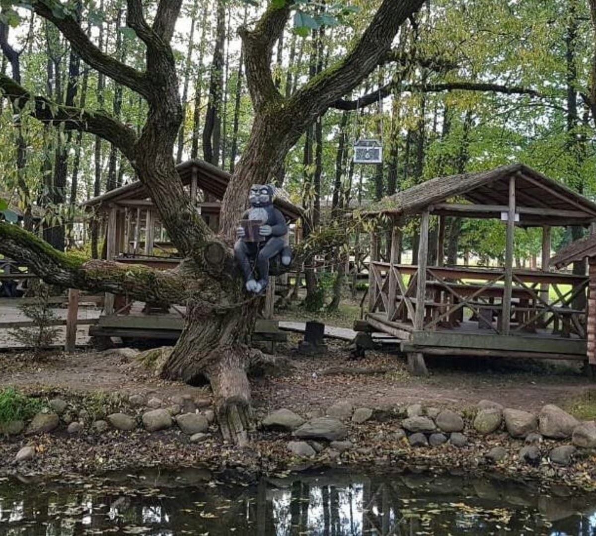 И днём и ночью кот учёный....