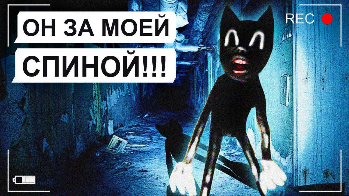 КАРТУН КЭТ (CARTOON CAT)