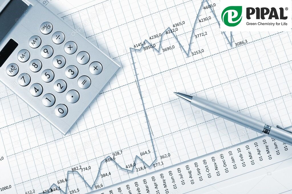 #мойвыборpipal