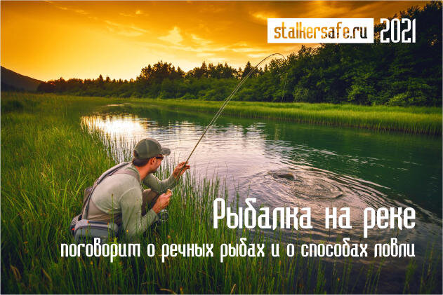 Интернет-магазин Stalkersafe.ru
