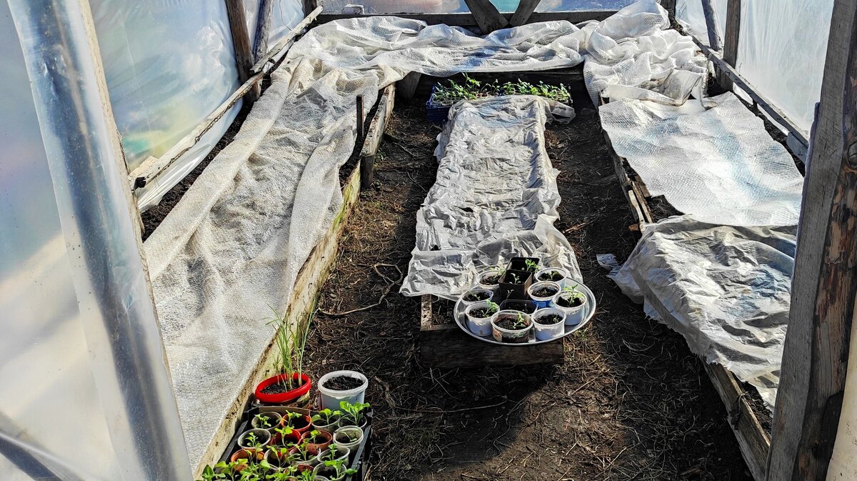 Идёт работа в теплице.