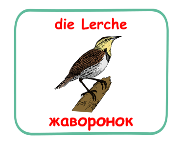 die Lerche