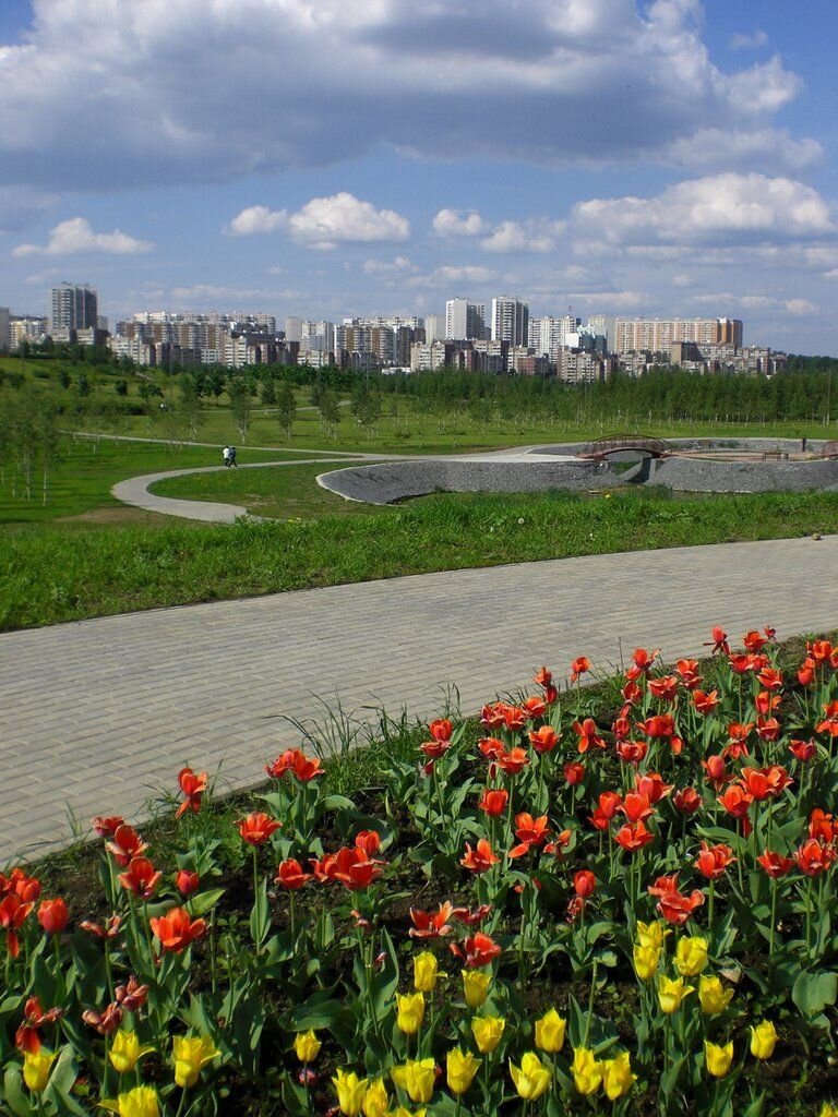 Топ мест Москвы, где разрешено жарить шашлыки | Московский Политех | Дзен