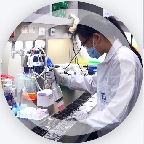 https://www.reatapharma.com