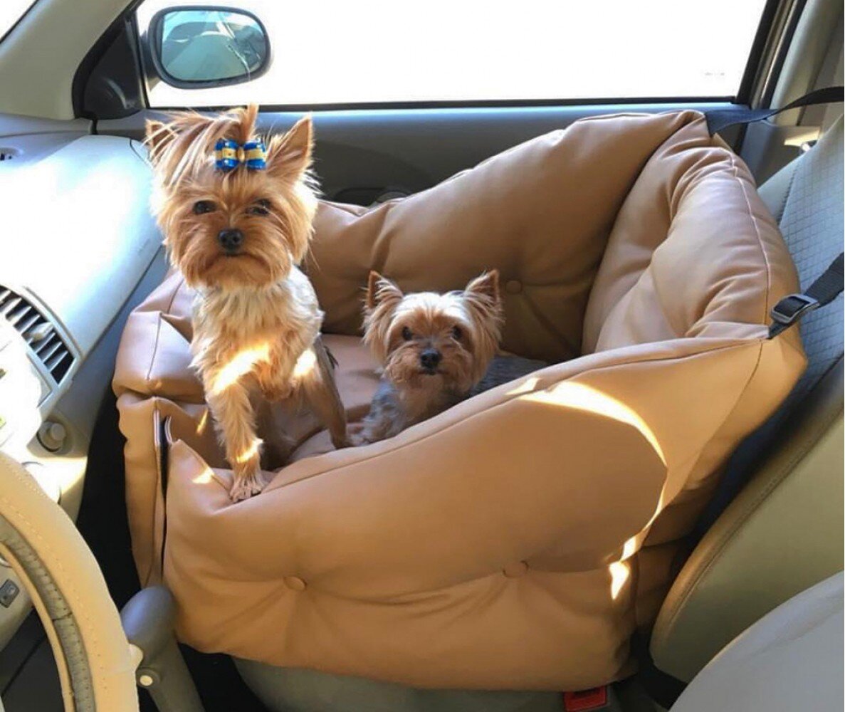 Яндекс картинки