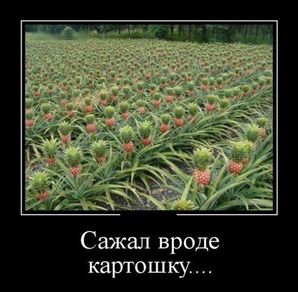 Результат может быть непредсказуемым...))