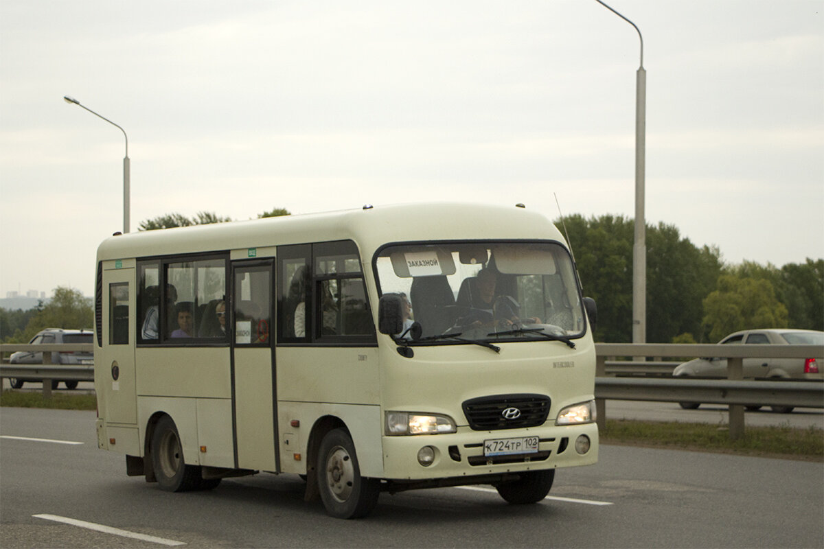 Hyundai County SWB (РЗГА)	Автор фото: Archi. Источник - http://fotobus.msk.ru/