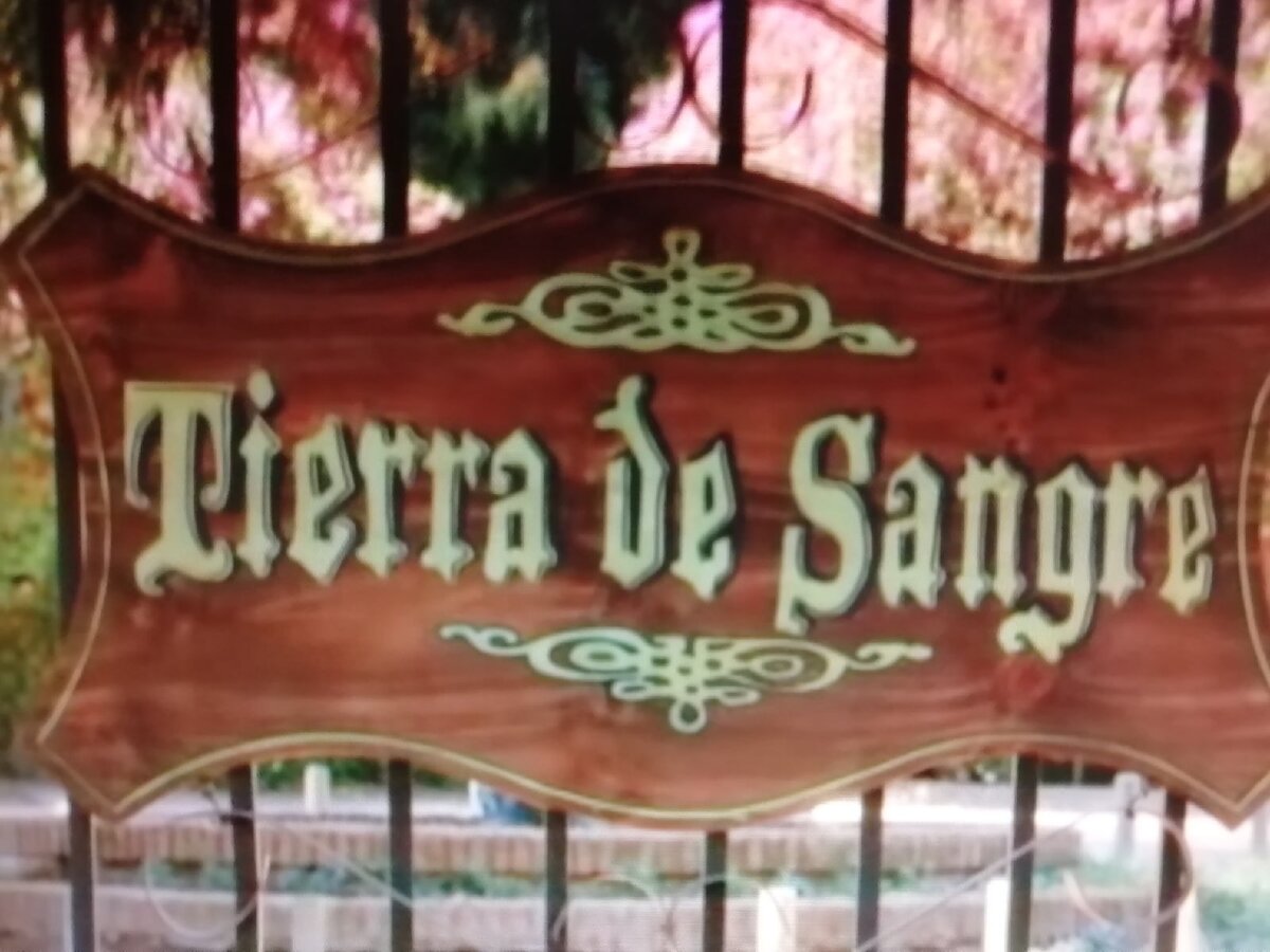 Кадр из фильма "Виноградник" (2014)