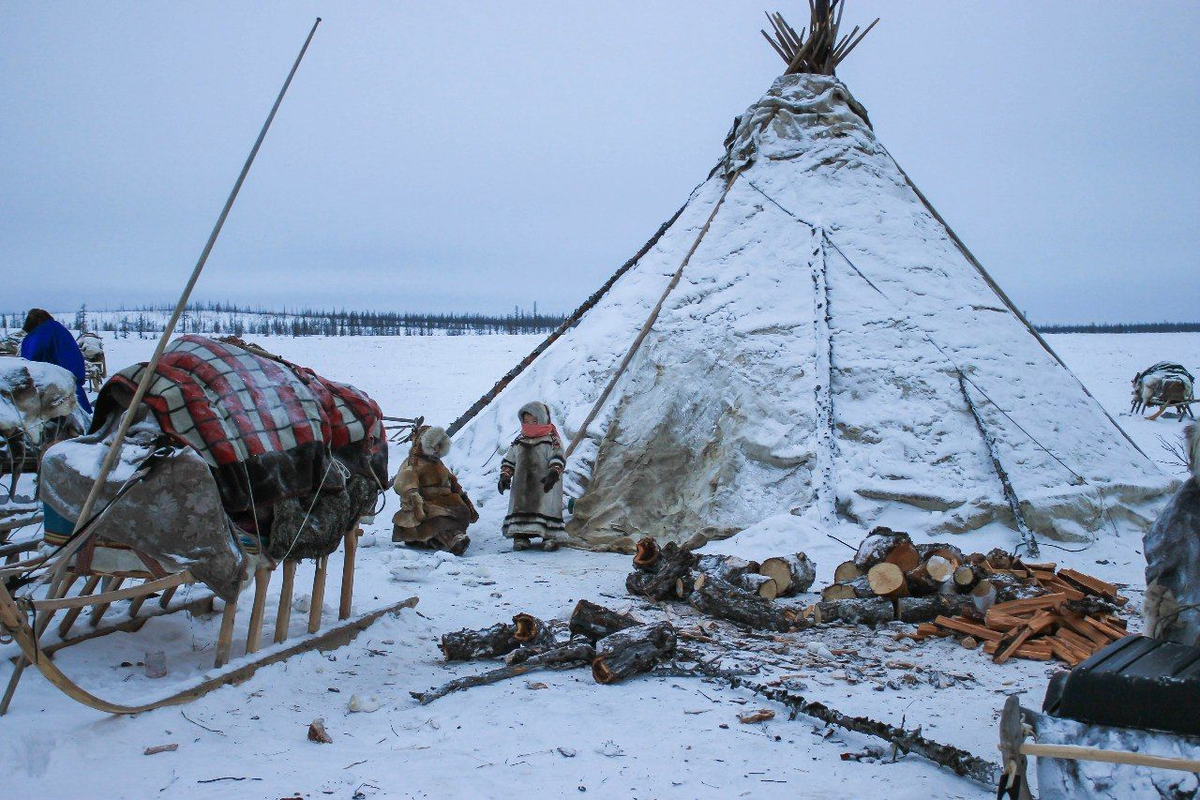 North life. Ямал тундра ненцы. Чум ненцев в тундре. Ненцы Ненецкий автономный округ