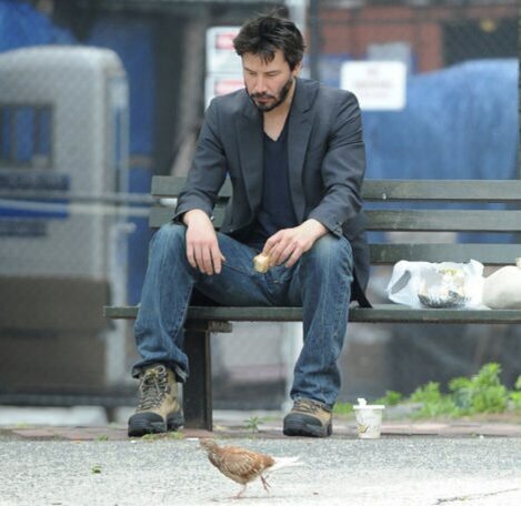 Такая вот «звезда» !