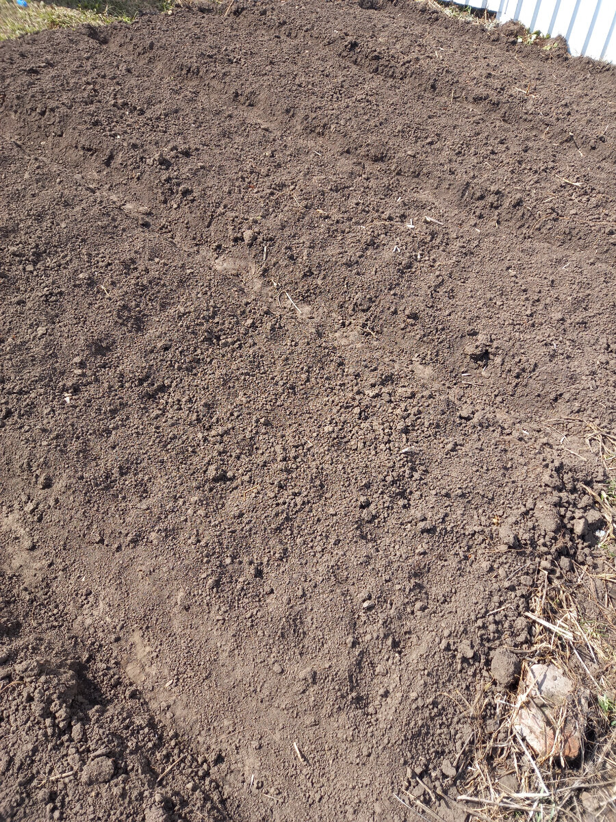 Вчера вскопала немного 