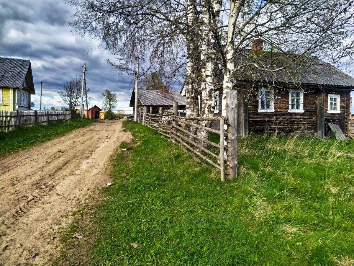 Деревня Пиляиха Вологодская область