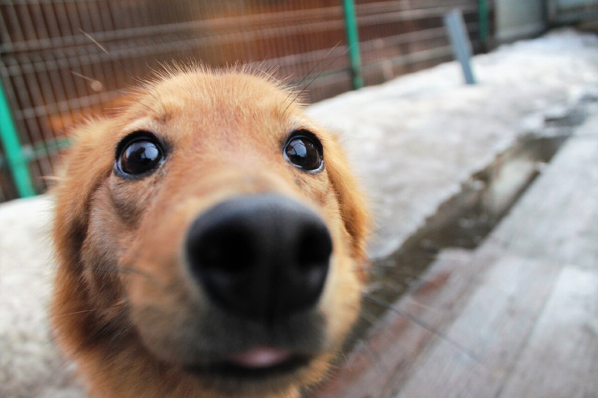 Милашка ЛЕКСА