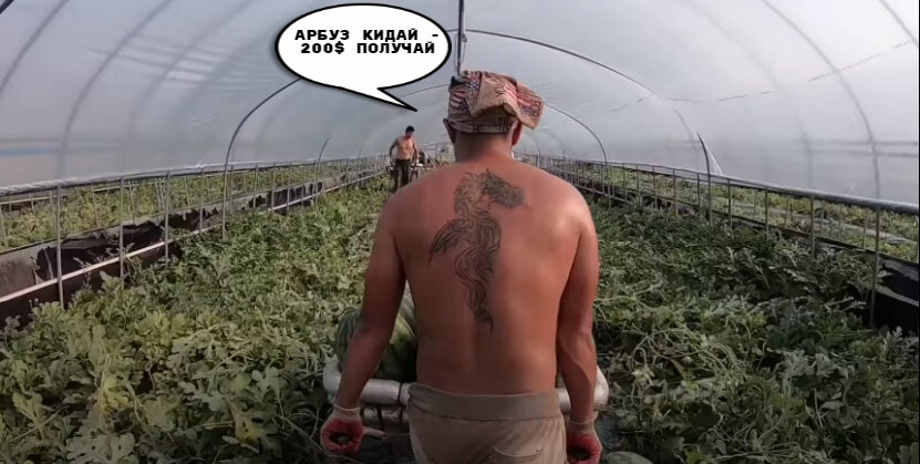 Пошел пошел пошел. Кадр из видео. Канал https://www.youtube.com/channel/UC_svUL7YQUpwTVZeImEascg