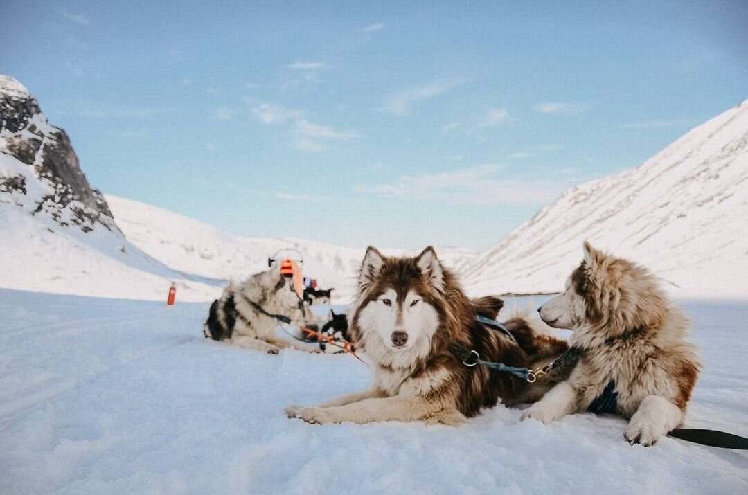 Фото @kudriphoto (инстаграм)