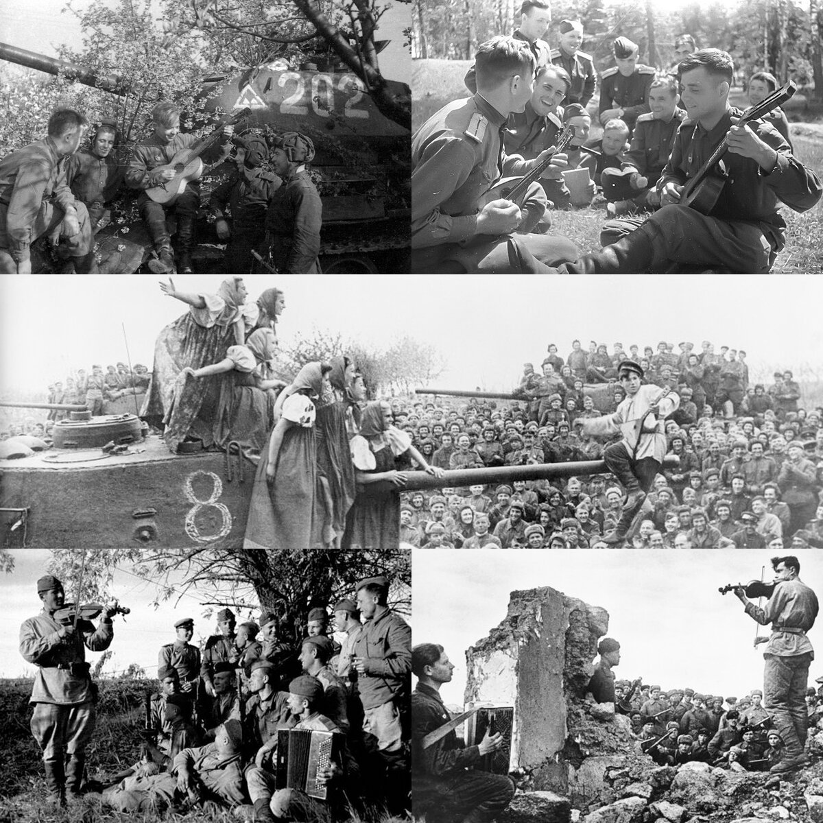 Струнные щипковые и смычковые музыкальные инструменты