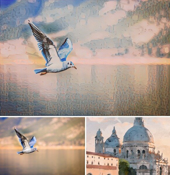 Стилизация чайки на AlterDraw.