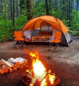 Картинка Яндекс