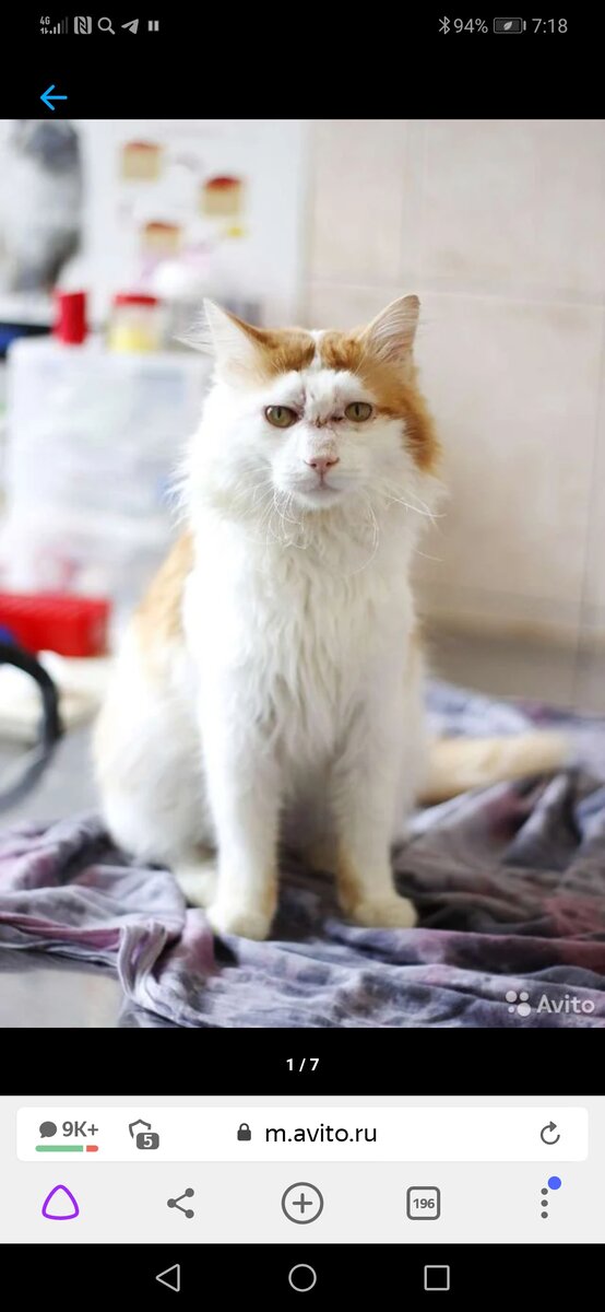 Скрин с телефона