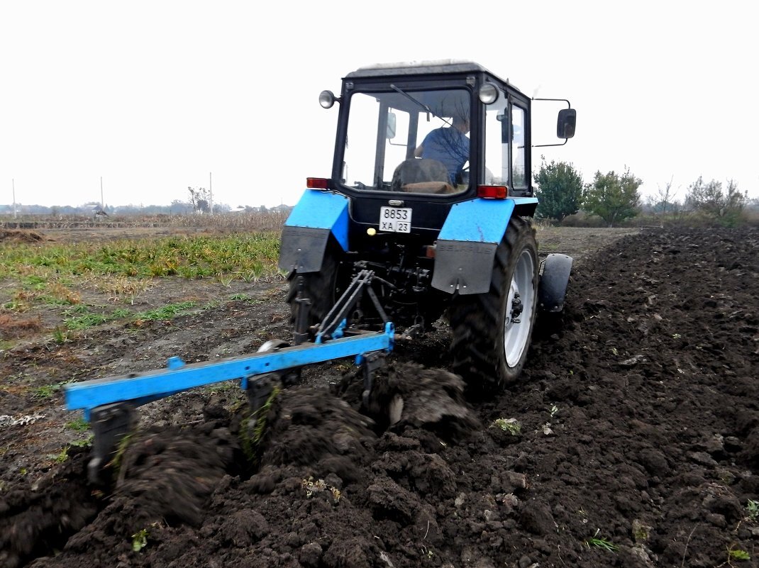 Источник фото: http://fotokto.ru/photo/view/4517232.html