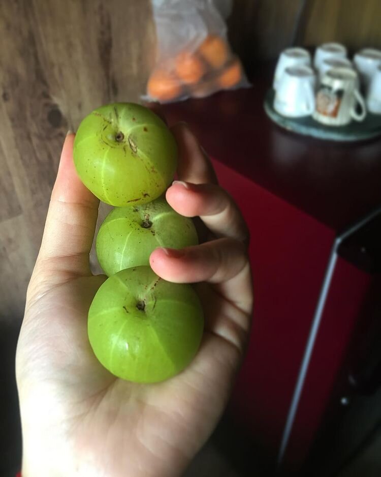 Амла (индийский крыжовник)