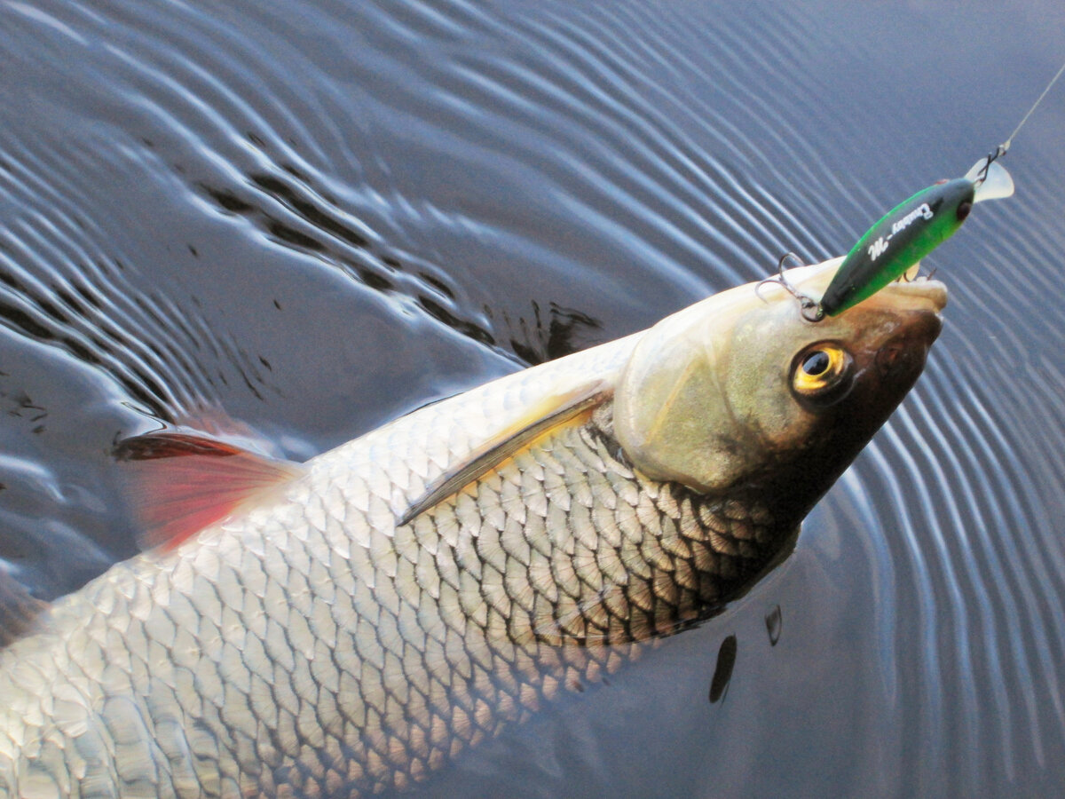 Палочка-выручалочка