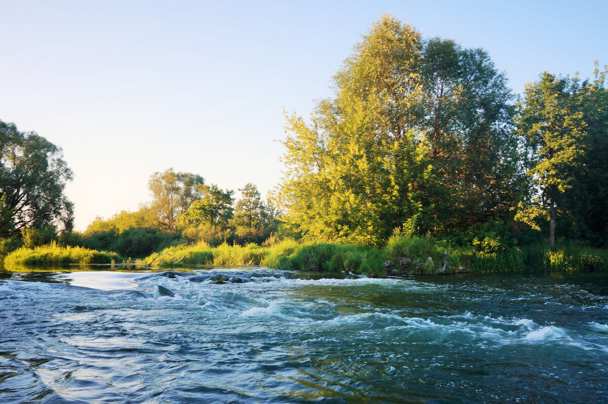 Голавлевое царство
