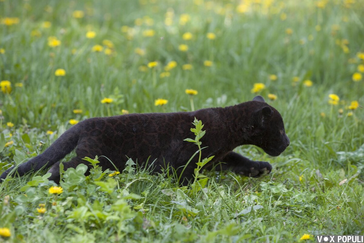 Фото: Павел Михеев