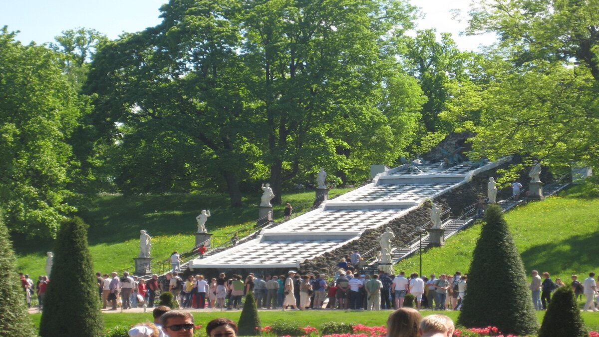 Фото автора