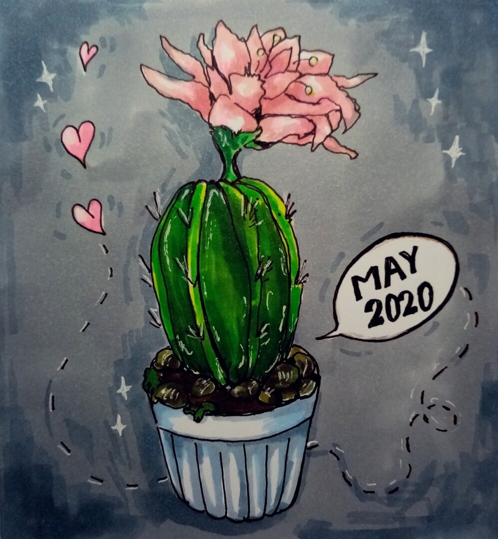 Ждем ваши кактусы в комментариях для разбора :) 