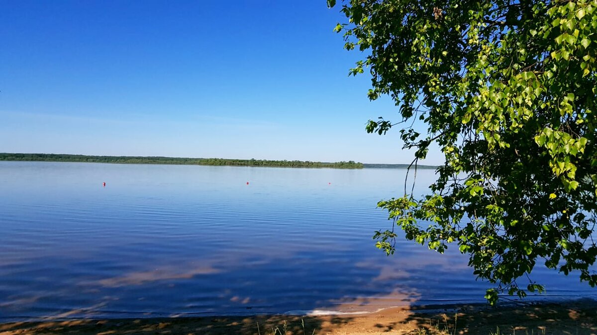 Погода можайское водохранилище. Можайское водохранилище Ильинское. Калипсо Можайское водохранилище.