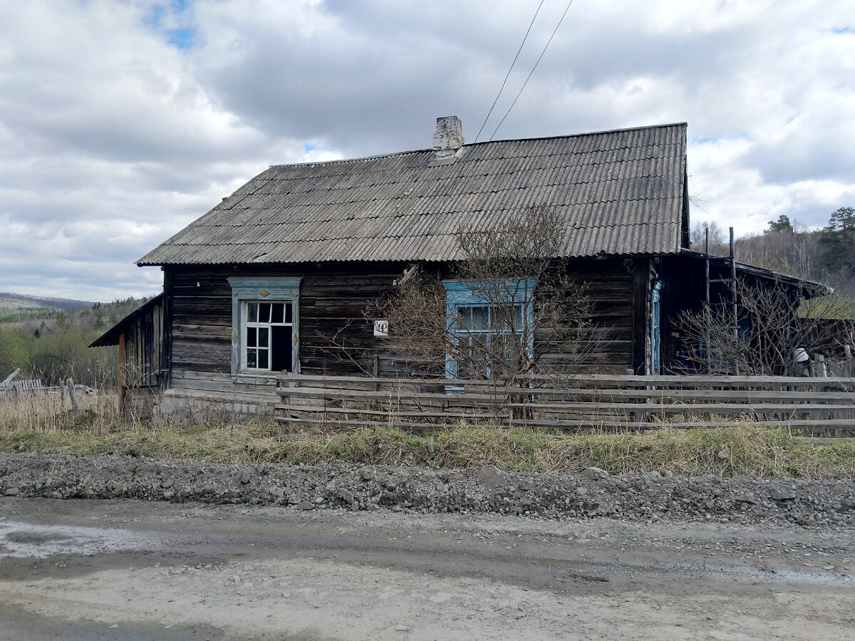 Проехали 250 км, чтобы показать ребёнку маралов. Эти благородные олени  живут в национальном парке Зюраткуль | Дом, где пахнет шарлоткой | Дзен