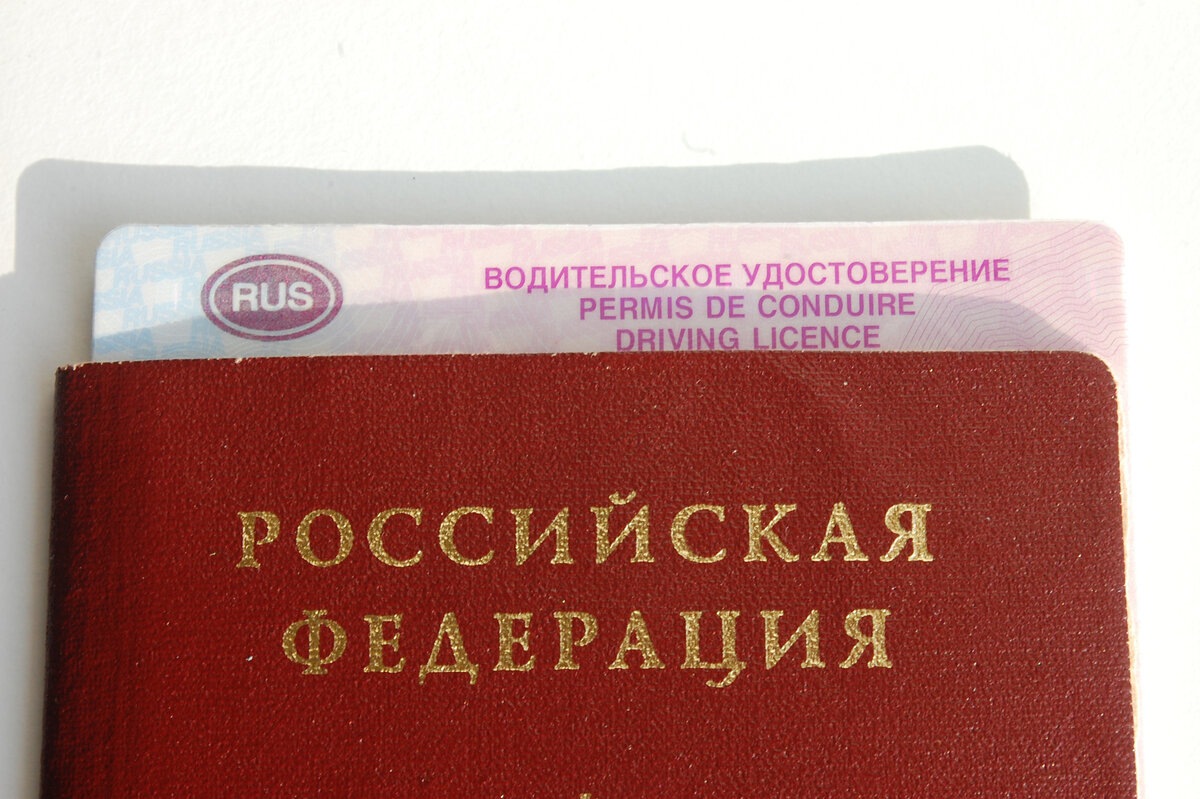 Как заменить водительское удостоверение и сколько это стоит | Открытие |  Авто | Дзен