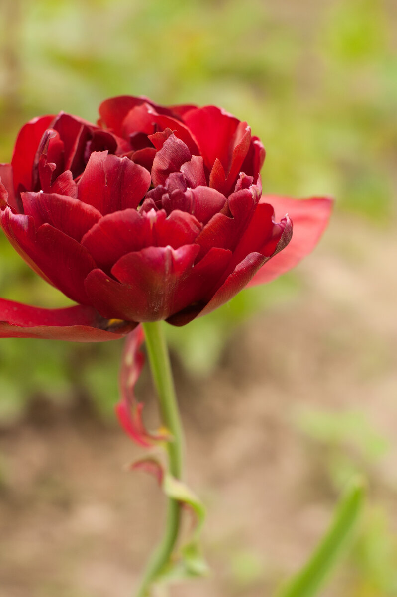 Личное фото