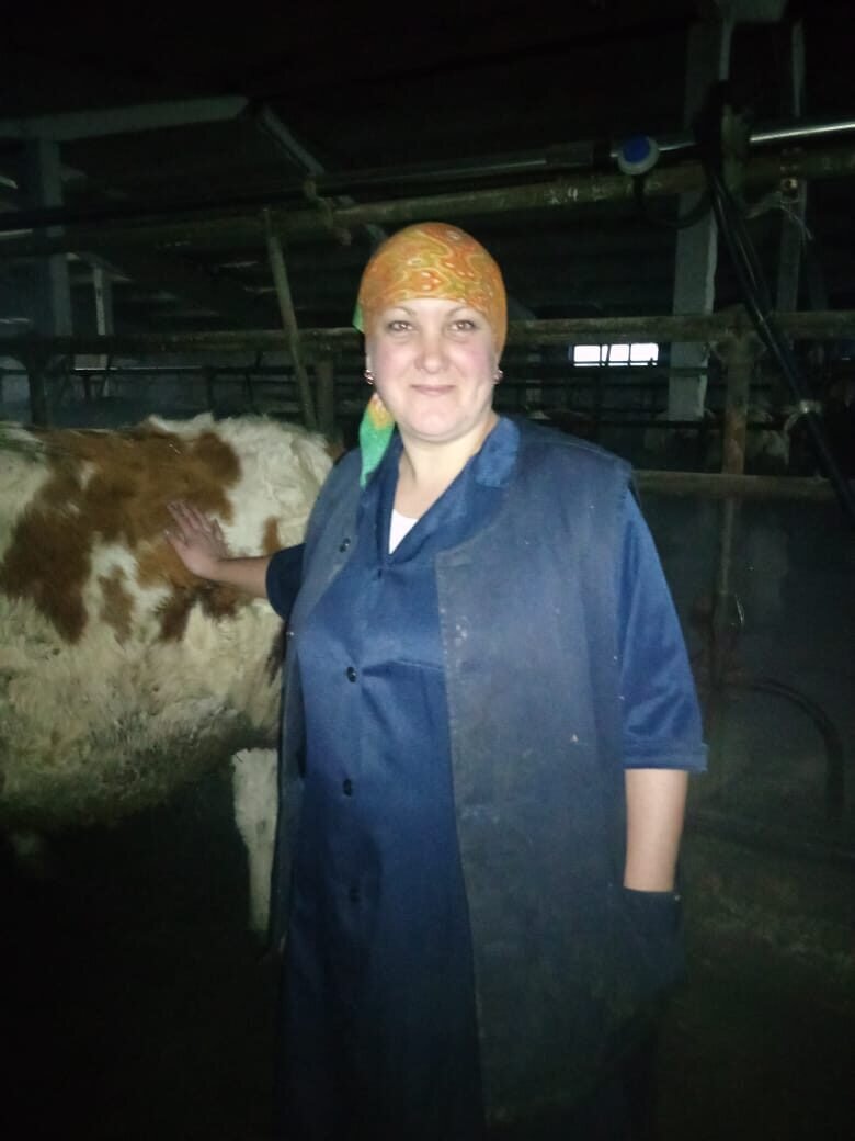 Фото мое. Этой зимой довелось мне побывать на ферме, и почувствовать всю прелесть работы доярки.  Пара часов на ферме показались мне вечностью. Аппарат мне не доверили, зато вручили тяпку, и отправили убирать продукты жизнедеятельности коров. Честь и хвала нашим труженикам- колхозникам . Большое спасибо за этот нелегкий труд.
