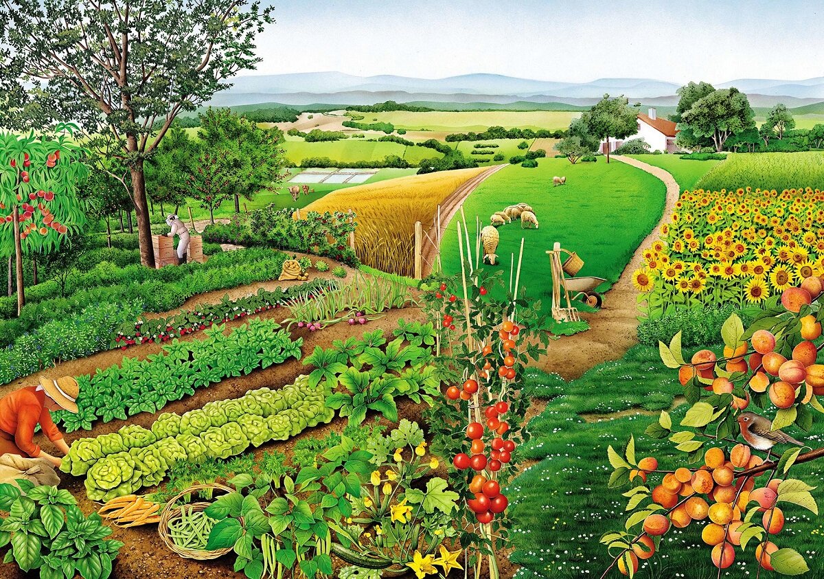 картинка с интернета.