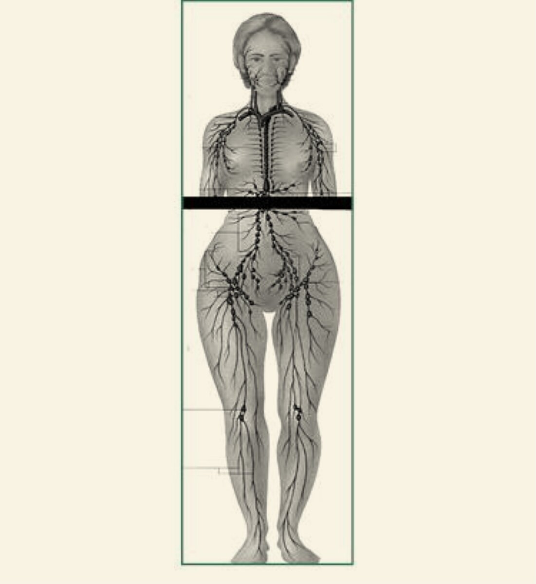 фото из книги Натальи Осьмининой «Квантовая биомеханика тела»