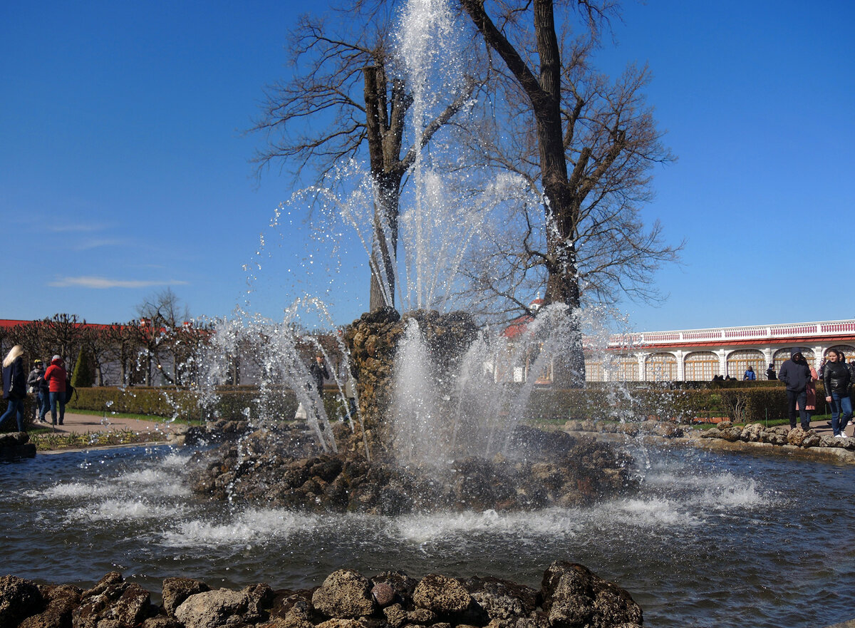 Петродворец, 9 мая 2021 года