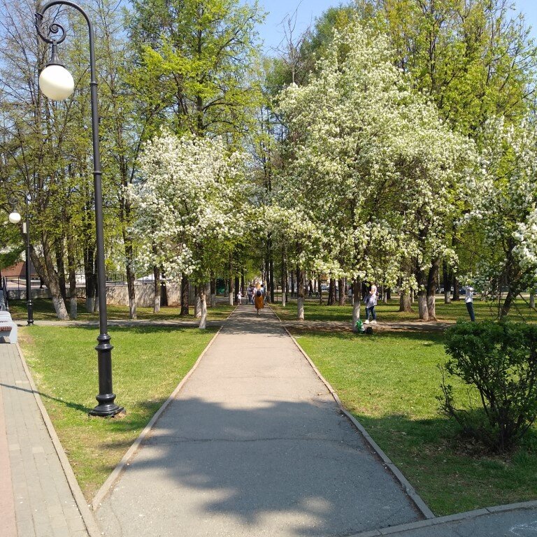 Фото автора
