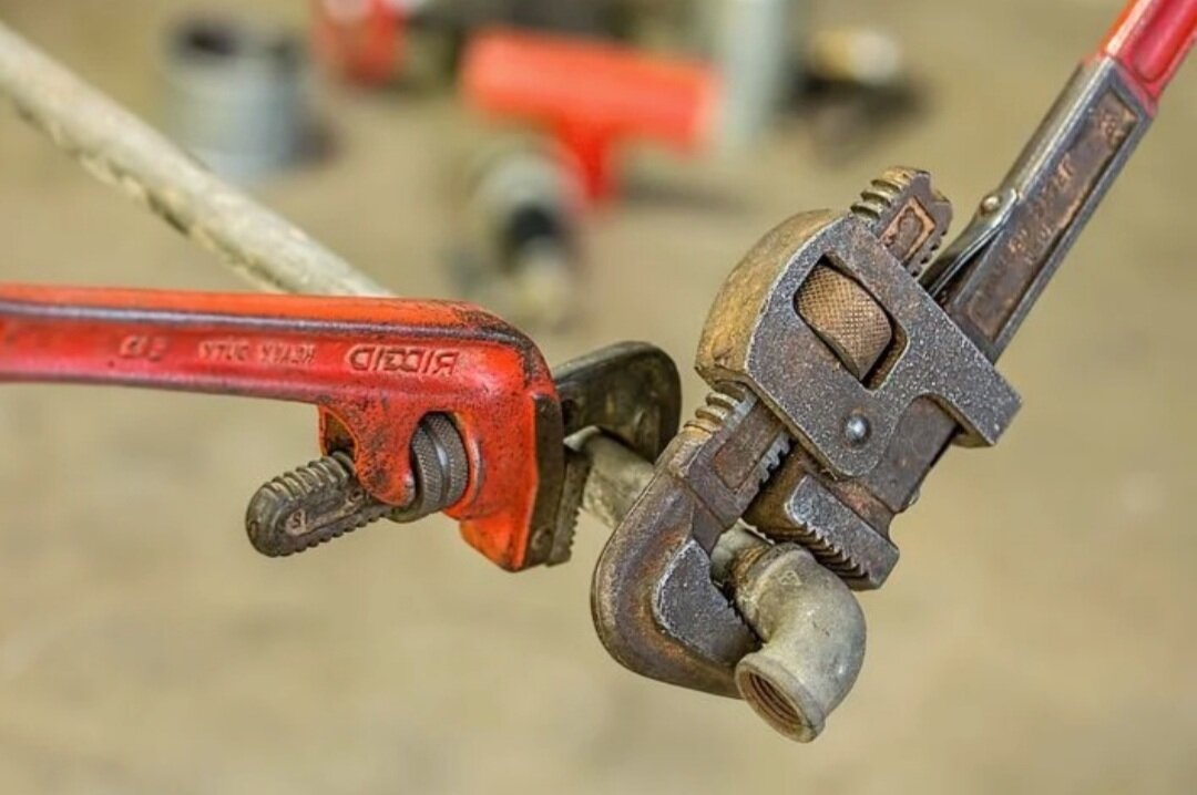 Фото из стока https://pixabay.com