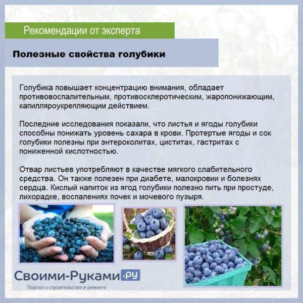 Уборка участка