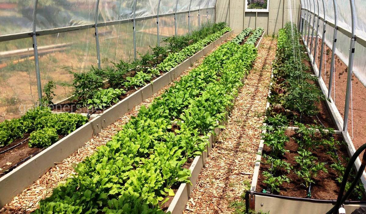 Выбор ограждений для грядок - вопрос не только красоты, но и удобства