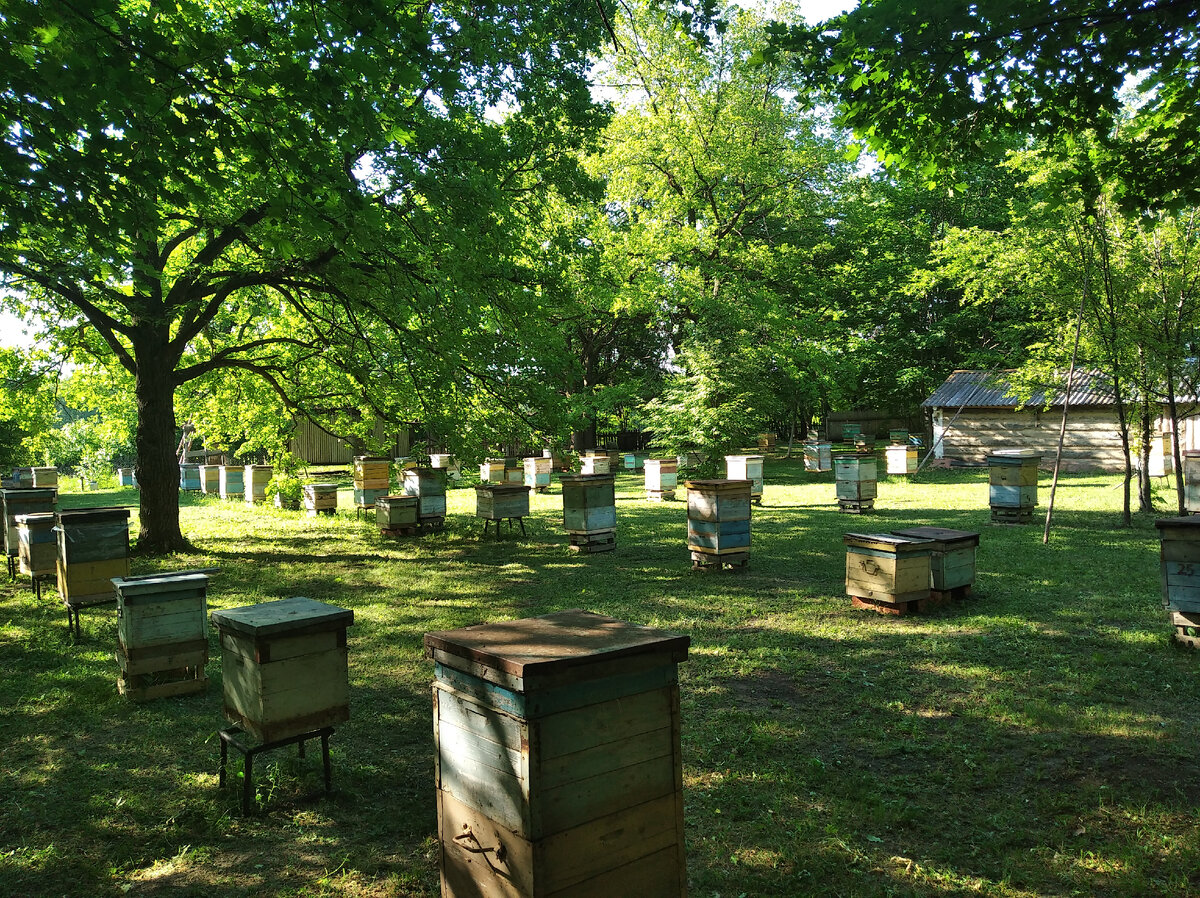 фото майское