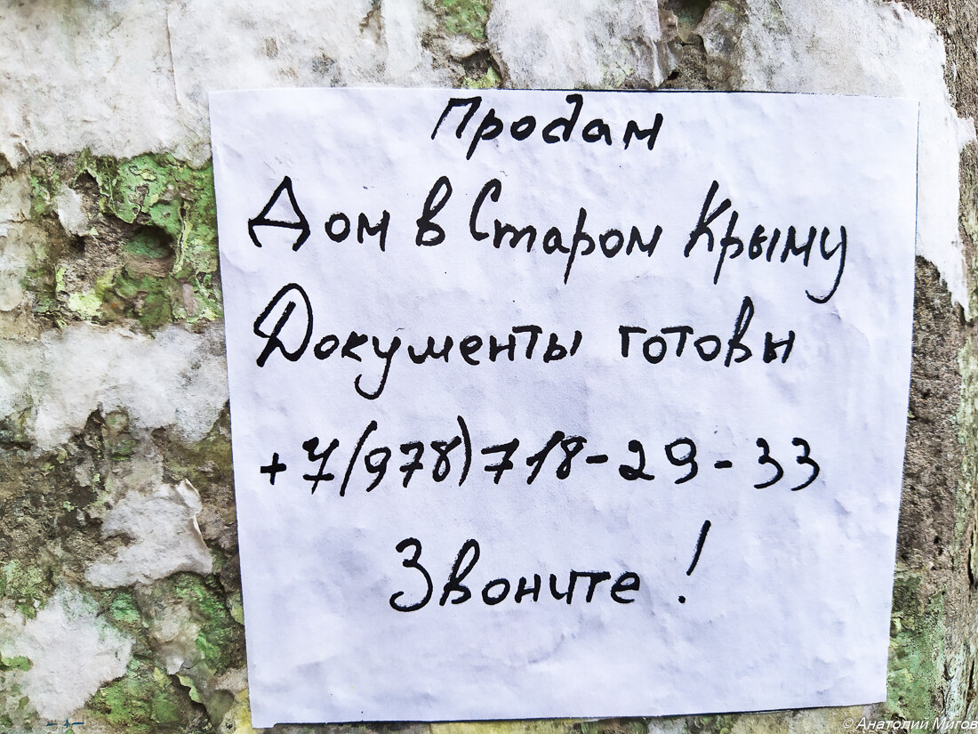 Феодосия, лето-2021. Пляж, море, цены на жильё и услуги | Дневник отчаянных  пенсионеров | Дзен