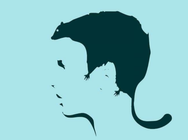 ОткрытыйОткрытый источник