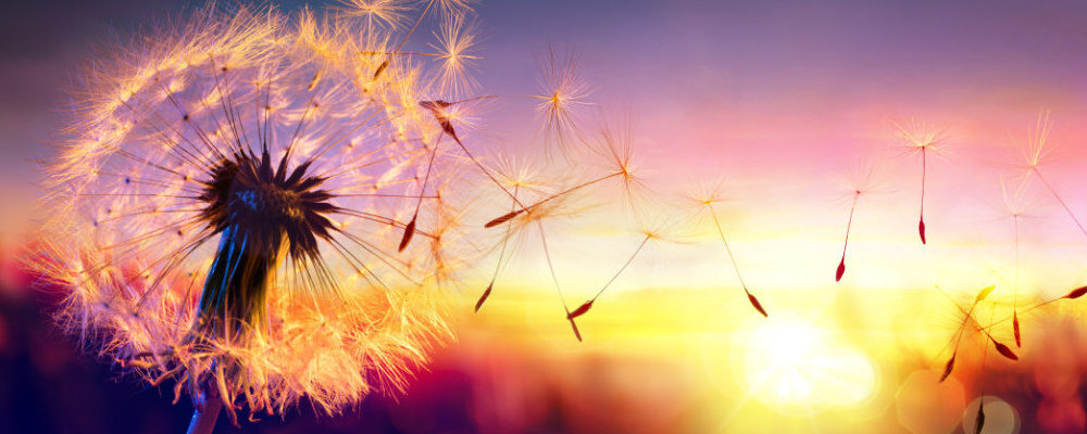 Яндекс.Картинки