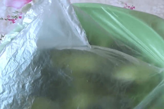 Малосольные огурцы в пакете – рецепты быстрого приготовления