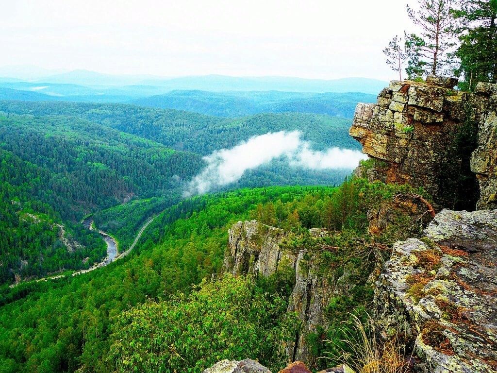 Фото из Яндекс.Картинки