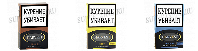 7 марок Немецких сигарет, которые официально можно купить в России ...